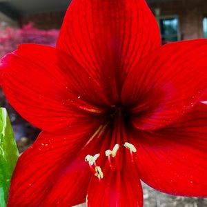 Meet your Posher, Marla